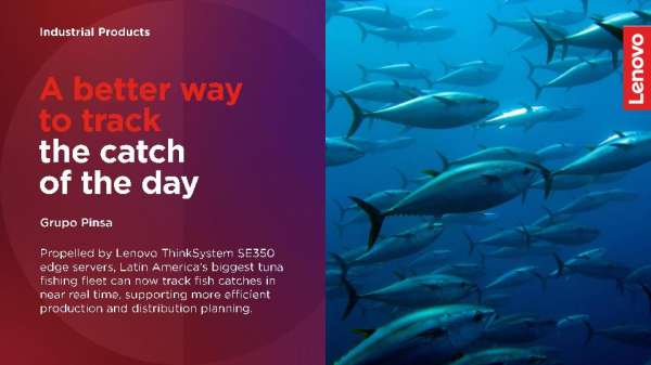 Lenovo and Grupo Pinsa: A better way to track the catch of the day