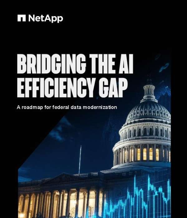 Bridging the AI Efficiency Gap,